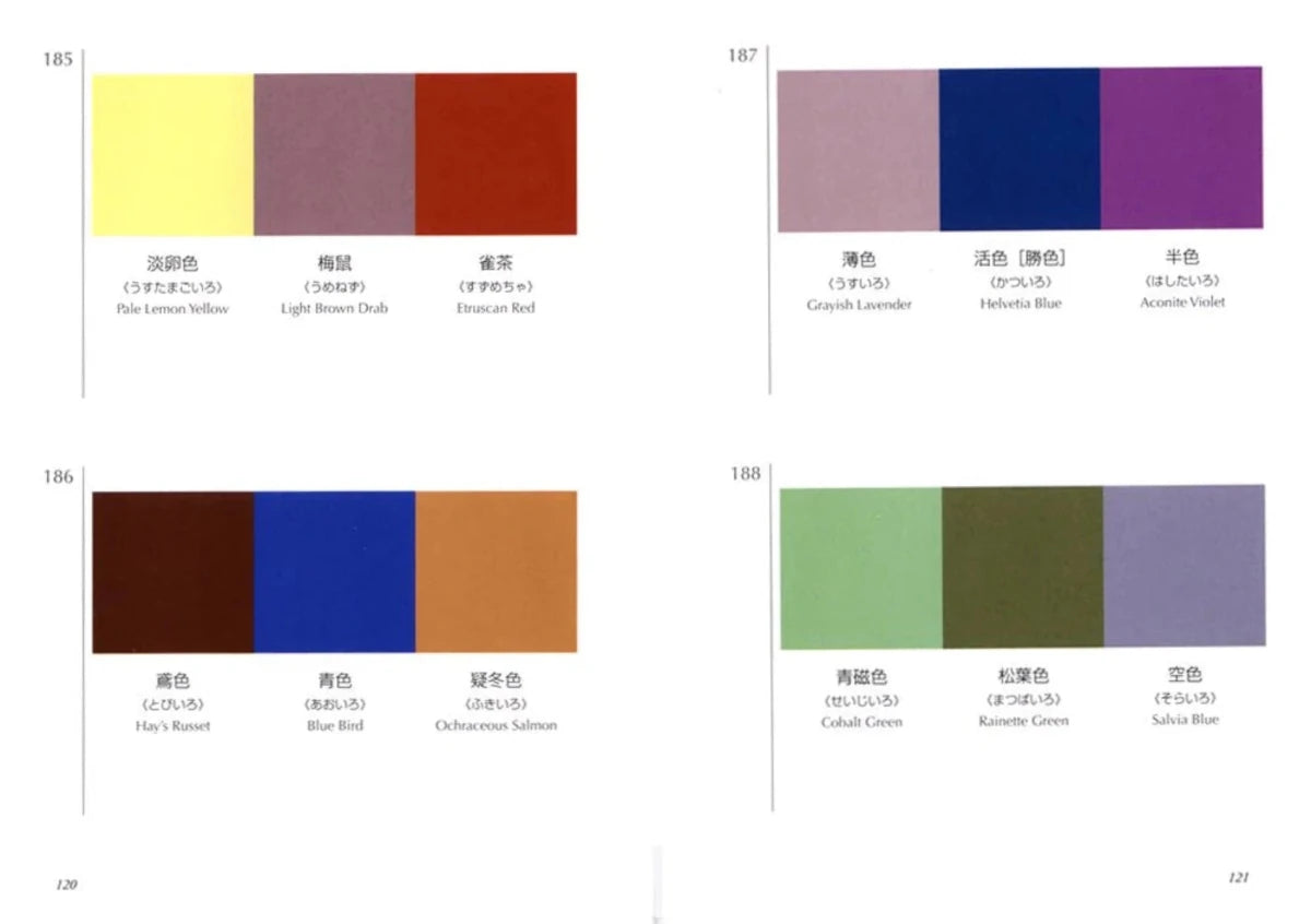 New Mags - A Dictionary Of Color Combinations - Books - zulqamvoxer.shop