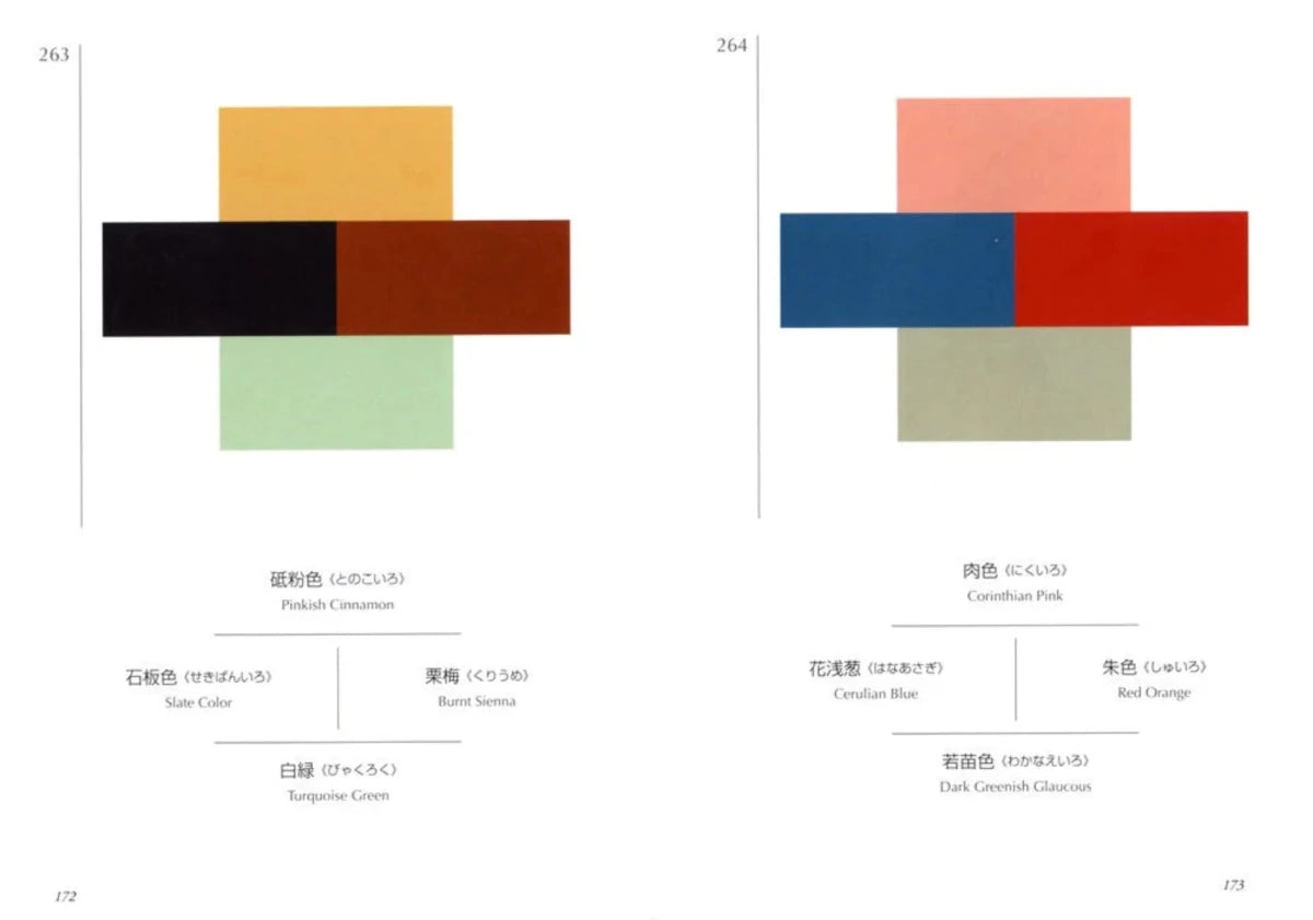 New Mags - A Dictionary Of Color Combinations - Books - zulqamvoxer.shop