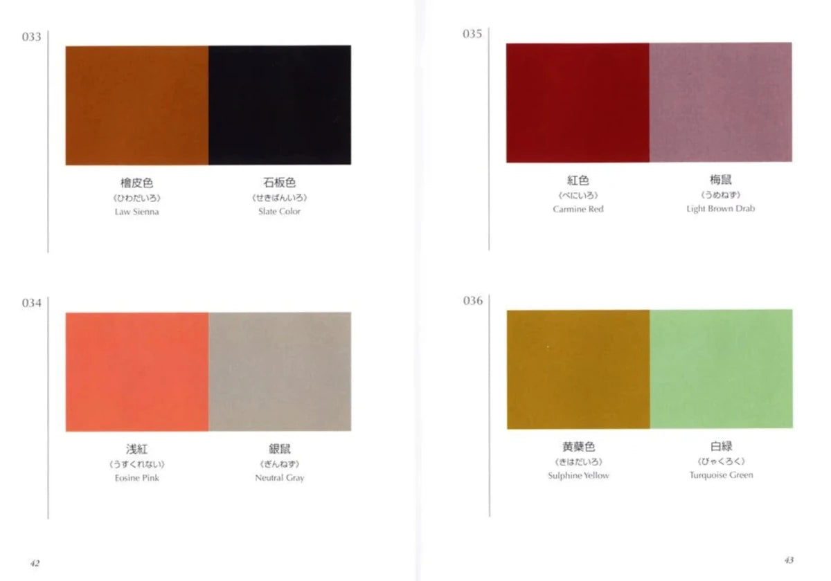 New Mags - A Dictionary Of Color Combinations - Books - zulqamvoxer.shop