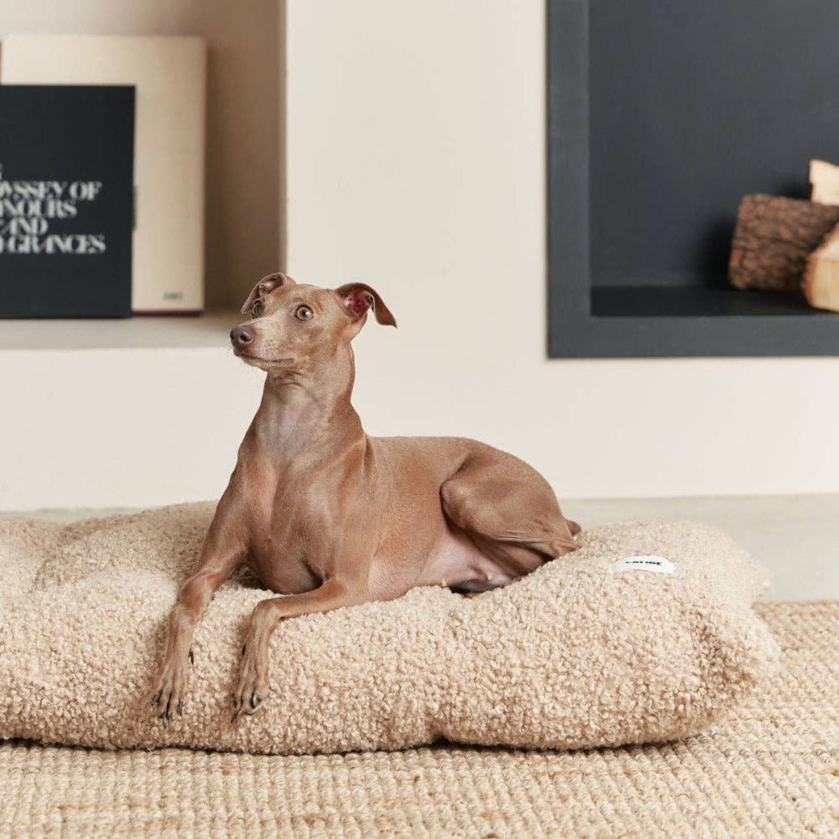 CAFIDE - Bela Dog Bed | Beige - Pets - zulqamvoxer.shop