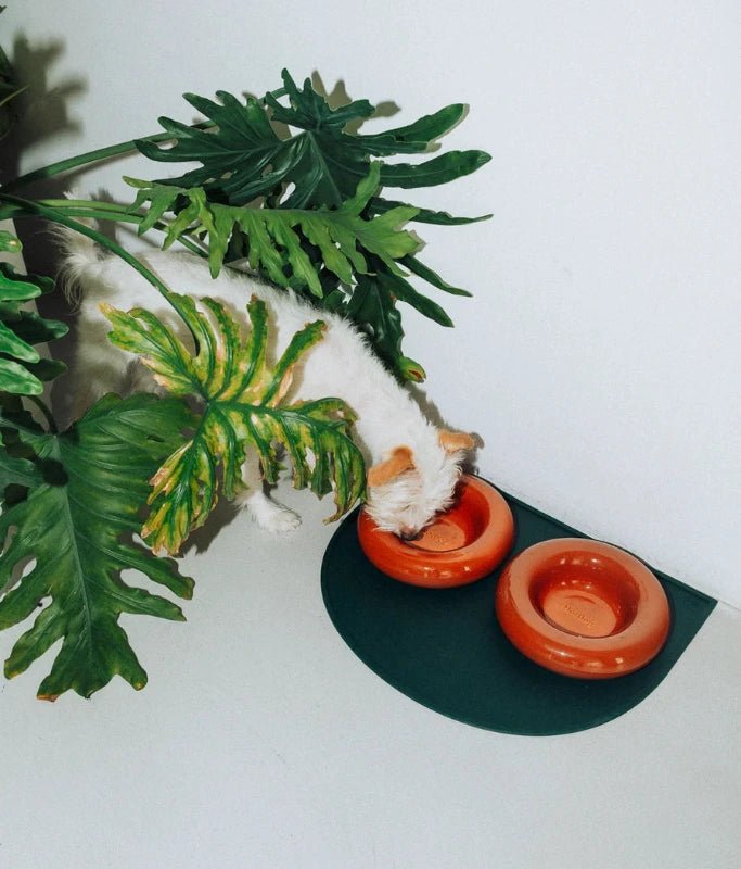 HotDog Pets - Dog Feeder Mat - Pets - zulqamvoxer.shop