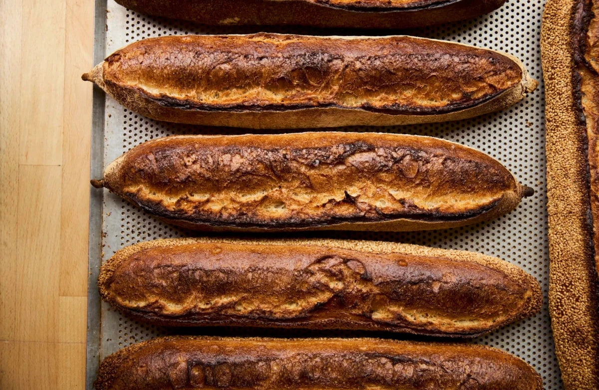 New Mags - Juno the Bakery - Books - zulqamvoxer.shop