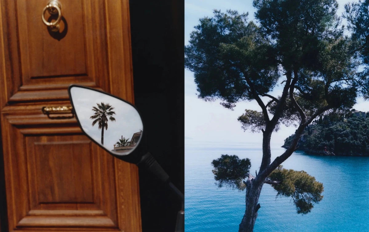 New Mags - LIGURIA: Recipes & Wanderings Along the Italian Riviera - Books - zulqamvoxer.shop