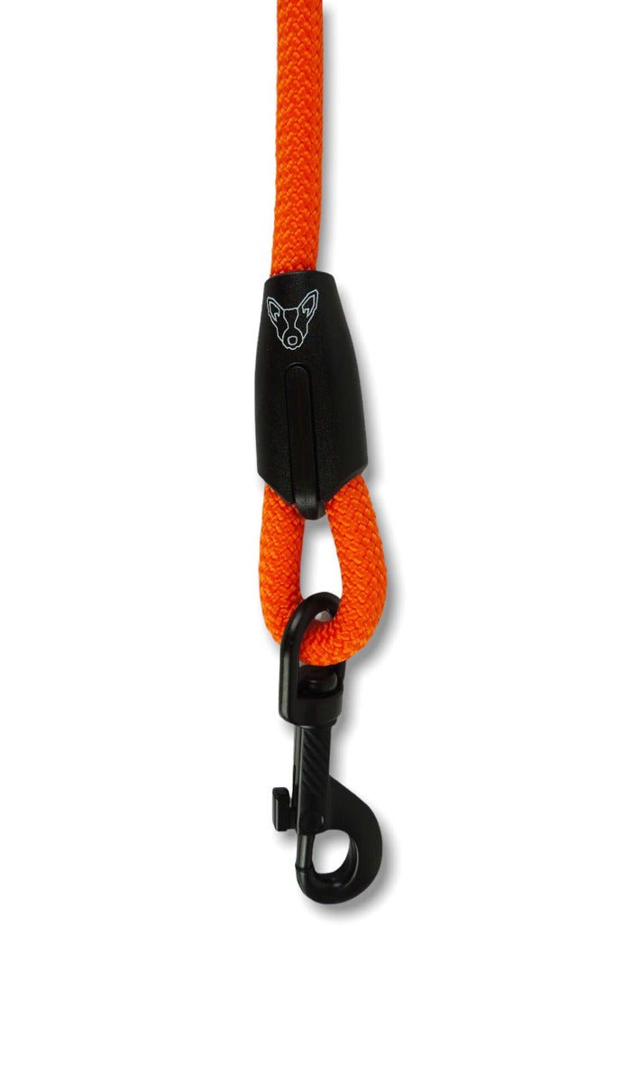 Blue Heeler - Retractable Leash | Sorbetti Orange - Pets - zulqamvoxer.shop