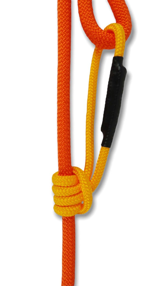 Blue Heeler - Retractable Leash | Sorbetti Orange - Pets - zulqamvoxer.shop